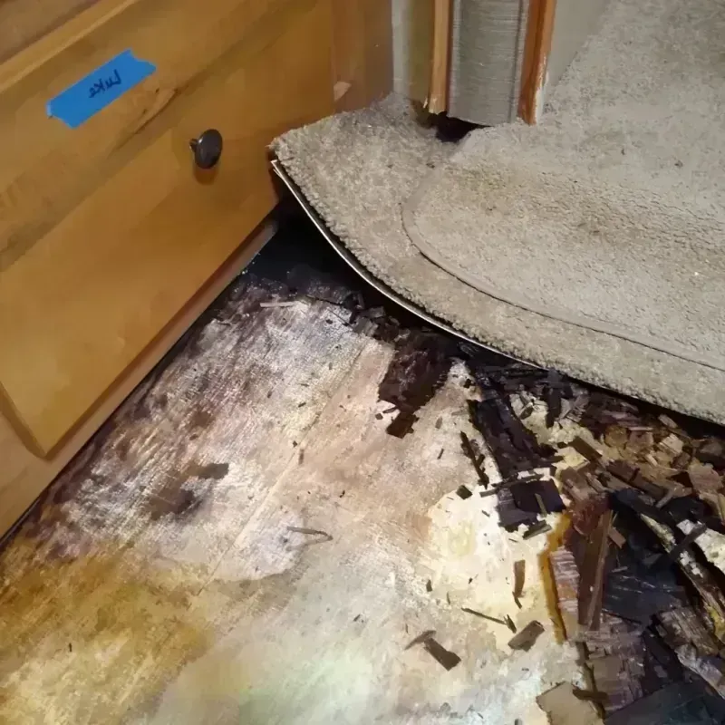 Wood Floor Water Damage in Evans, CO